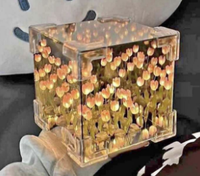Décoration de chambre créative, lampe de nuit à miroir tulipe infini, lampe tulipe DIY faite à la main, lampe fleur tulipe carrée magique artificielle
