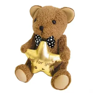 Custom Wholesale Soft Toys Teddy Make Your Own Plush Toy Cartoon Bear Stuffed Plush Cute With Star Decoration Teddy Bear