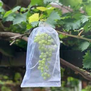 Tas Pohon buah, sayur, Tas Pohon buah, tas serut jala transparan, pelindung bernapas dan tahan serangga - Product Image 1