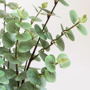 S1081 Nordischer Stil Realistische Künstliche Eukalyptus-Zweige für Hochzeits-Blumenarrangements und Heimdekoration - Product Image 6
