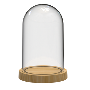Taiwan Qualité Grain De Bois-Dôme De Fleur Éternelle D'aspect Naturel De Grande Taille Avec Couvercle Transparent PS Et Base ABS - Product Image 1