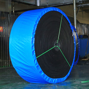 Sabuk konveyor nilon ringan dan hemat energi kekuatan tinggi penjualan langsung dari pabrik - Product Image 3