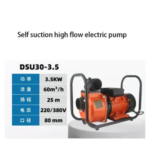 Bomba de Agua Eléctrica Autocebante para Hogar y Jardín, Bomba de Presión de Agua Doméstica de Alta Eficiencia 110V 220V - Product Image 4