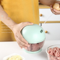 Handmatige plastic knoflook- en vleesmolen, mini huishoudelijke groentesnijder, gember-knoflookhakker, babyvoedselblender, roestvrij staal