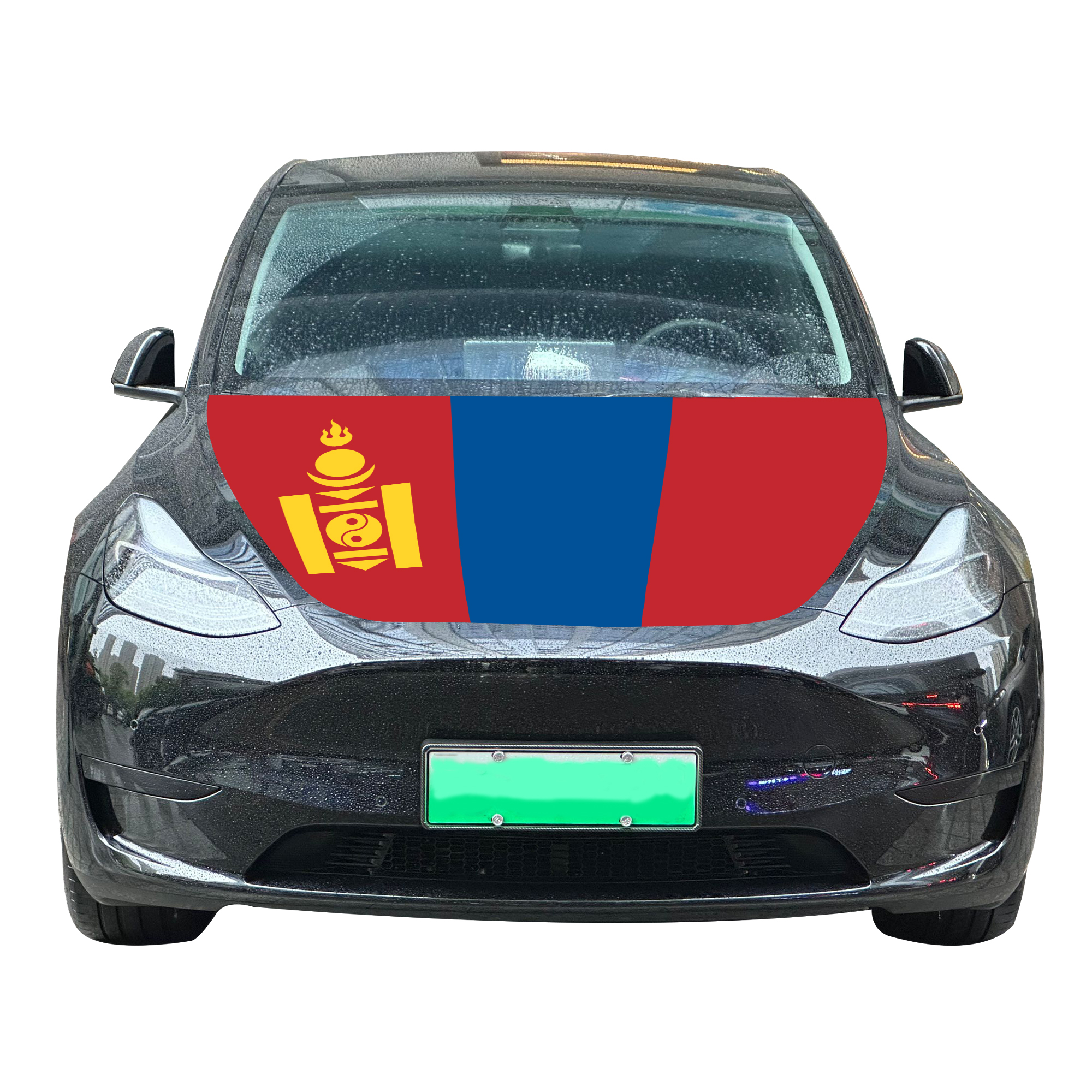 Mongolia flag