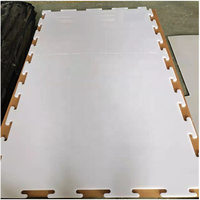 Tapis de pratique de hockey sur glace synthétique ZSPE en plastique, panneaux de glace artificielle, dalles de patinage