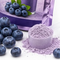 Poudre Protéinée Saveur Myrtille Naturelle 500g Complément Nutritionnel Beauté Adulte Vente en Gros Marque Privée OEM ODM TikTok