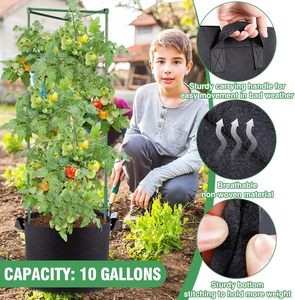 Sacs de culture de plantes en gros, sacs de culture hydroponique en tissu avec treillis pour légumes, plantes, bleuets - Product Image 4
