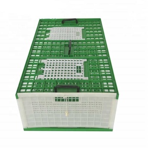 2019 <span class=keywords><strong>de</strong></span> course en plastique pigeon transports 60/80 cm <span class=keywords><strong>cage</strong></span> <span class=keywords><strong>cage</strong></span> pour animaux <span class=keywords><strong>de</strong></span> compagnie fournisseur - Product Image 1