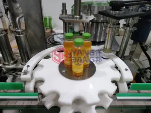 Automatic 300ml 500ml Orange Apple Juice Bottle Filling Machine Servo Motor Control Bottling Machine For Juice Water Yogurt