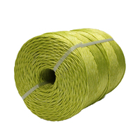 2MM Agriculture Polypropylène PP Plastique Raphia Corde Noir Jaune Presse à Foin Ficelle Ficelle Banane pour Emballage Paille Corde Torsadée