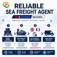 Agent maritime fiable pour le transport de marchandises en LCL et FCL vers le Royaume-Uni et la France, avec des services rapides, sûrs, de qualité supérieure et gratuits dès maintenant