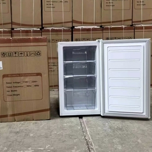 Congélateur vertical mini OEM 98L, congélateur portable compact, appareils électroménagers, réfrigérateur intelligent à porte unique pour la maison ODM - Product Image 4