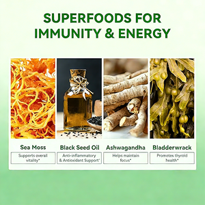 סוכריות גומי פרימיום מאצות ים עם אשוגנדה, כורכום ושמן זרעי קצח, תומכות במערכת החיסון ובבריאות התריס, תוסף תזונה - Product Image 3