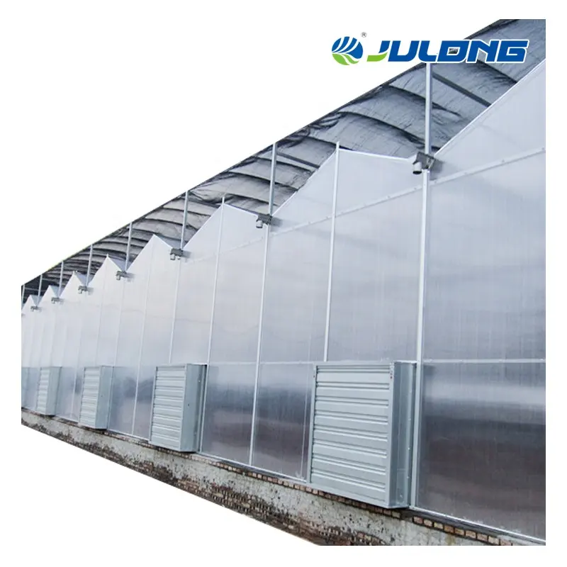 Invernadero de policarbonato, proveedor de invernadero comercial de China, invernadero llave en mano