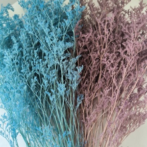 Fleur séchée en gros Statice Caspia, Herbe Brumeuse, Limonium Préservé, Lavande de Mer, Fleur séchée de Limonium pour Événements et Décoration de Mariage - Product Image 2