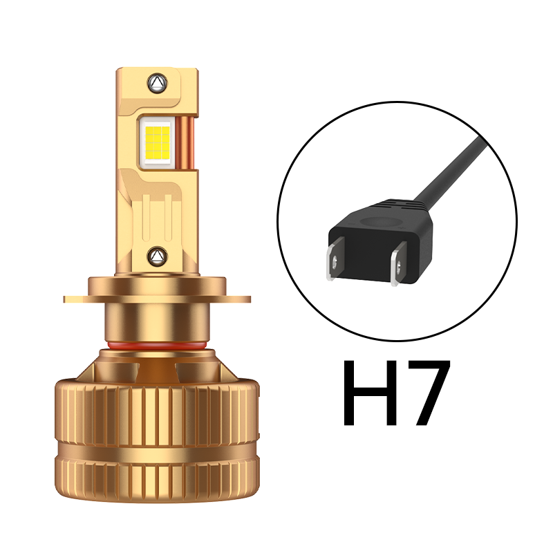 H7