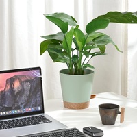 Pots de fleurs multi-tailles en plastique auto-absorbant pour plantes vertes de jardin, pot à dendrobium