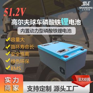 LiFePO4 <b>Battery</b> Pack <b>48V</b> 60Ah 105Ah 150Ah For Golf Carts Liquid Type - Product Image 2