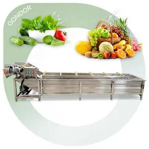 Multifunctionele Bittere Bladersproeier Dragon Fruit Wasmachine Groente Fruit Was-En Droogprocesmachine