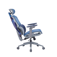 Chaise de bureau pivotante ergonomique moderne Ruibao, accoudoirs 5D réglables, certifiée Bifma, multi-usages, réglable en hauteur, pour la maison