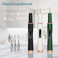 Herramienta Portátil para Eliminar la Placa Dental, Eliminador de Placa Recargable para Dientes, Raspador de Dientes, Eliminador de Sarro, Herramientas Dentales