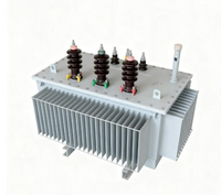 Transformador Trifásico Sumergido en Aceite Yaoyi M-800kVA SH15-Toroidal 10kV/0.4kV 50/60Hz con Núcleo de Aleación Amorfa, Ahorro de Energía, ISO9001