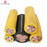 Cable Aislado con Núcleo de Cobre MCP XLPE de 4-70 mm², Utilizado para Operaciones Subterráneas en Minas de Carbón, Aplicable a la Norma IEC Certificada