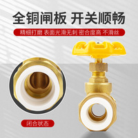 Vannes à opercule en laiton Huihong PPR DN20-DN63, coupures simples pour eau et produits pétroliers, vannes filetées à souder à chaud