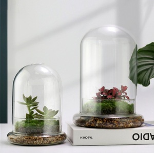 Klares Glas-<span class=keywords><strong>Terrarium</strong></span> Pflanzgefäß mit Kuppel, Luftlöchern & Basis für Gartenpflanzen - Handgeblasen, Handgefertigt, Umweltfreundlich - Product Image 4