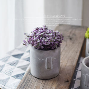 Maceta suculenta minimalista nórdica maceta de cemento hecha a mano con diseño de nariz decoración del hogar regalo - Product Image 2