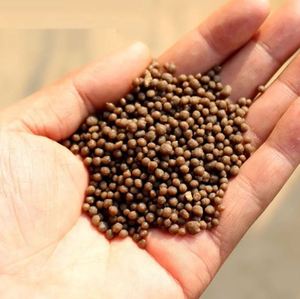 High Quality <strong>Single</strong> Superphosphate Fertilizer Granular SSP P2O5 16% for Agriculture Inexpensive Rock Phosphate DAP - Product Image 5