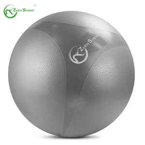 Zhensheng 2024, nuevo diseño, marca de promoción, gimnasio en casa, pelota de yoga, pelota de ejercicio, pelota suiza con bomba de 9"