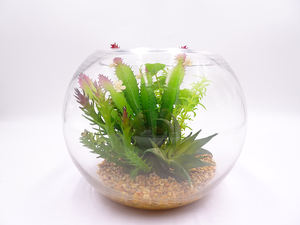 Fiore Succulento Artificiale Moderno <span class=keywords><strong>in</strong></span> <span class=keywords><strong>Vaso</strong></span> di Vetro, Piccola Pianta Succulenta Artificiale - Product Image 1