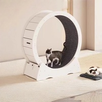 Nouveau Tapis de Course Silencieux pour Chat en Bois Massif, Design Moderne de Luxe, OEM/ODM, avec Tapis Remplaçable, pour Sport et Fitness en Intérieur, Emballage Carton