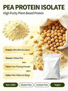Proteine Isolate di Pisello Funzionali in Polvere con Buona Capacità Gelificante, Emulsionante <span class=keywords><strong>e</strong></span> Idroretentore per <span class=keywords><strong>Alimenti</strong></span> a Base Vegetale - Product Image 2