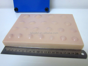 Almohadilla <span class=keywords><strong>de</strong></span> sutura grande para práctica <span class=keywords><strong>de</strong></span> <span class=keywords><strong>drenaje</strong></span> <span class=keywords><strong>de</strong></span> <span class=keywords><strong>absceso</strong></span>, modelo <span class=keywords><strong>de</strong></span> piel quirúrgica - Product Image 3