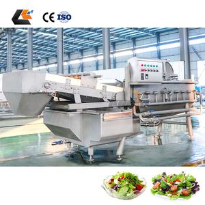 Laveuse de légumes à feuilles à prix d'usine, machine à laver les légumes, laveuse de salades à l'ozone, machine à laver le gingembre - Product Image 2