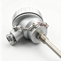 PT100 RTD Temperature Sensor Probe 0-400℃ a Class Accuracy M12x1.25 Thread IP65 Waterproof for Industrial Pipeline Oven Control