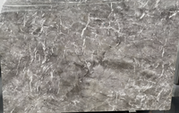 Marbre gris froid naturel |   Gris Cendré Profond avec Veines Blanches |   Revêtement mural et de sol moderne poli pour projets commerciaux de salles à manger/cuisines