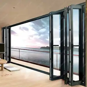 Sunnysky Portes pliantes intérieures insonorisées à double vitrage en profilé d'aluminium pour les maisons au design moderne personnalisé