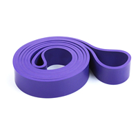 Juego de bandas de resistencia para entrenamiento y terapia física Bandas de asistencia de tracción con anclaje de puerta