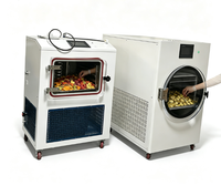 Voedselvriesdroger Kleine Vriesdroogmachine Mini Vriesdroger voor Fruit Multi Tray Kleine Vriesdroger