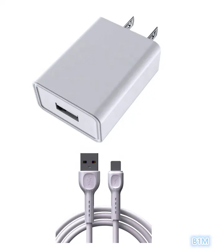 Hotriple B1M di vendita calda 5V 2.4A USB ricarica veloce noi spina adattatore per telefono cellulare caricatore da parete caricabatterie da viaggio con Micro cavo