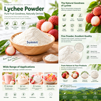 Instant oplosbaar lychee-sappoeder, puur natuurlijk fruitpoeder, smaakmaker, voedingsmiddelkwaliteit lychee fruitpoeder