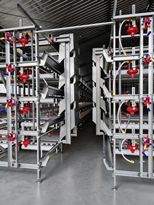C/Z- Automatischer H-Typ Stahlkonstruktion Moderner Hühnerstall Industriedesign für Bauernhof und Lagerhaus - Product Image 6