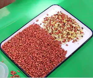 Lentils Sorting Machine Newest Model Multiple Sorting Color Sorter For Red Lentils Green Yellow Colored Peeled Split Lentils