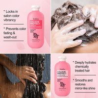 SHAKEBAR Argan Oil Color Protect Shampoo dan Kondisioner Bebas Sulfat dengan Minyak Quinoa dan Minyak Mawar untuk Perawatan Rambut yang Diwarnai dan Diolah