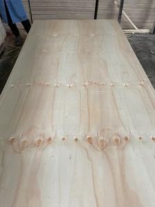 Pino <span class=keywords><strong>Triplay</strong></span>-<span class=keywords><strong>madera</strong></span> contrachapada <span class=keywords><strong>de</strong></span> Pino, estructura <span class=keywords><strong>de</strong></span> 12mm, 15mm, 18mm y 21mm - Product Image 3