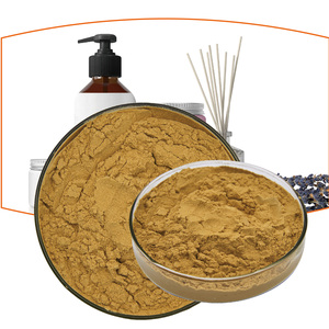 有機タマリンドシード1kg/25kgバルク高XX % 発芽植栽食品グレード粉末エキスサプライヤー - Product Image 3
